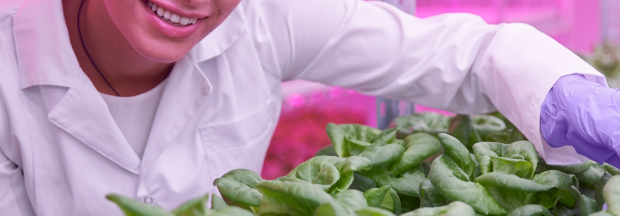 food safety uva led lamp