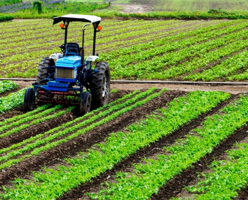 Detecting Toxins in Food Products